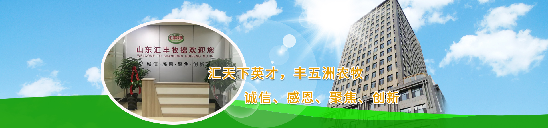 椰油胺聚氧乙烯醚(3EO-30EO) Coco Amine Ethoxylate Ether (3EO-30EO) CAS61791-14-8